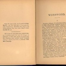 Wormwood : a drama of Paris